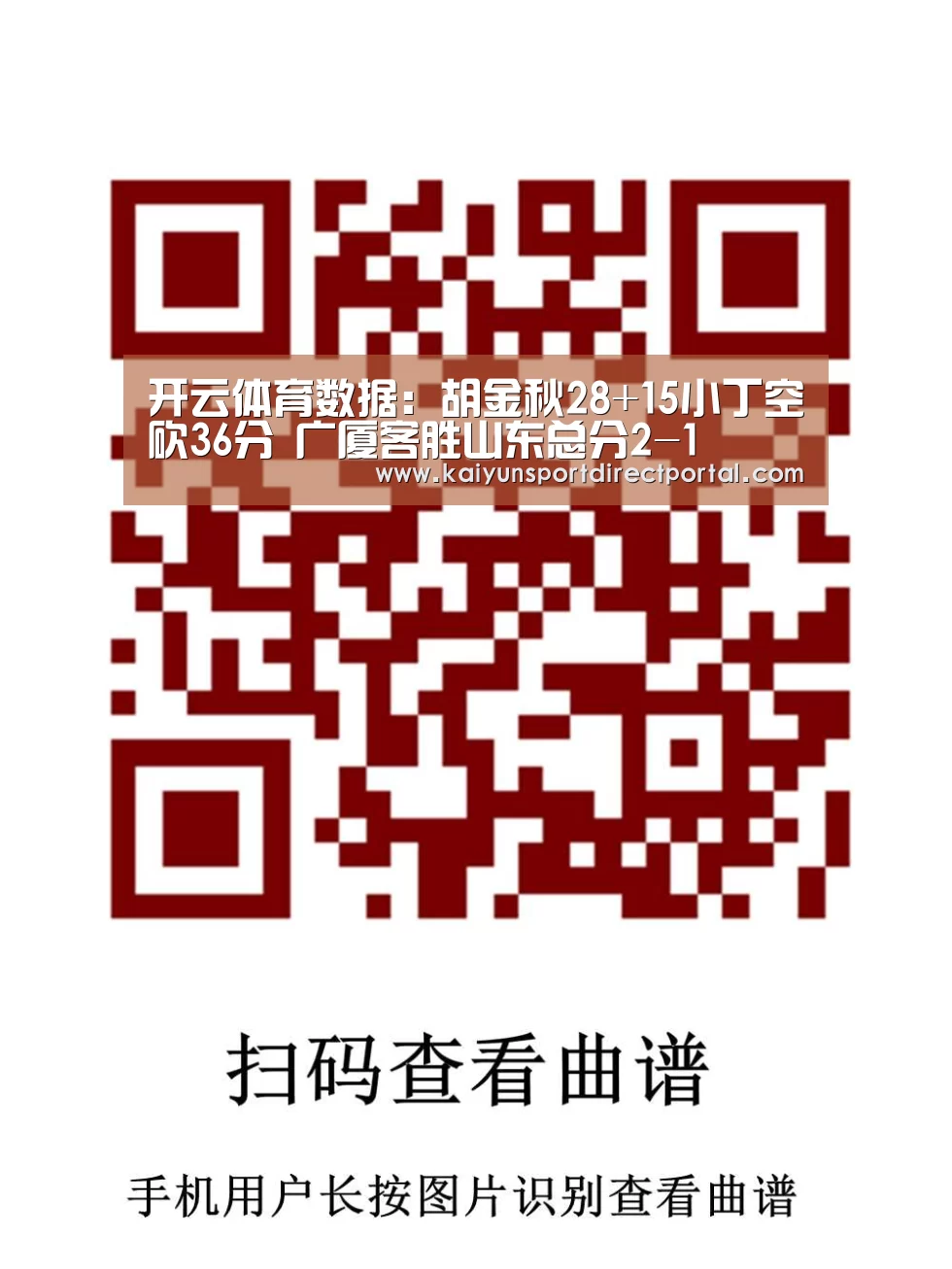 开云体育官网