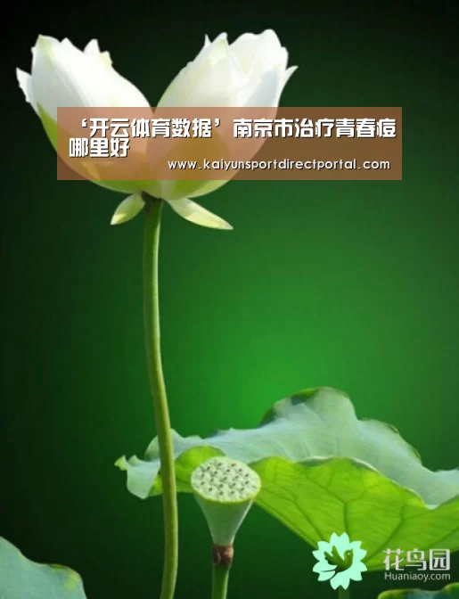 开云体育数据