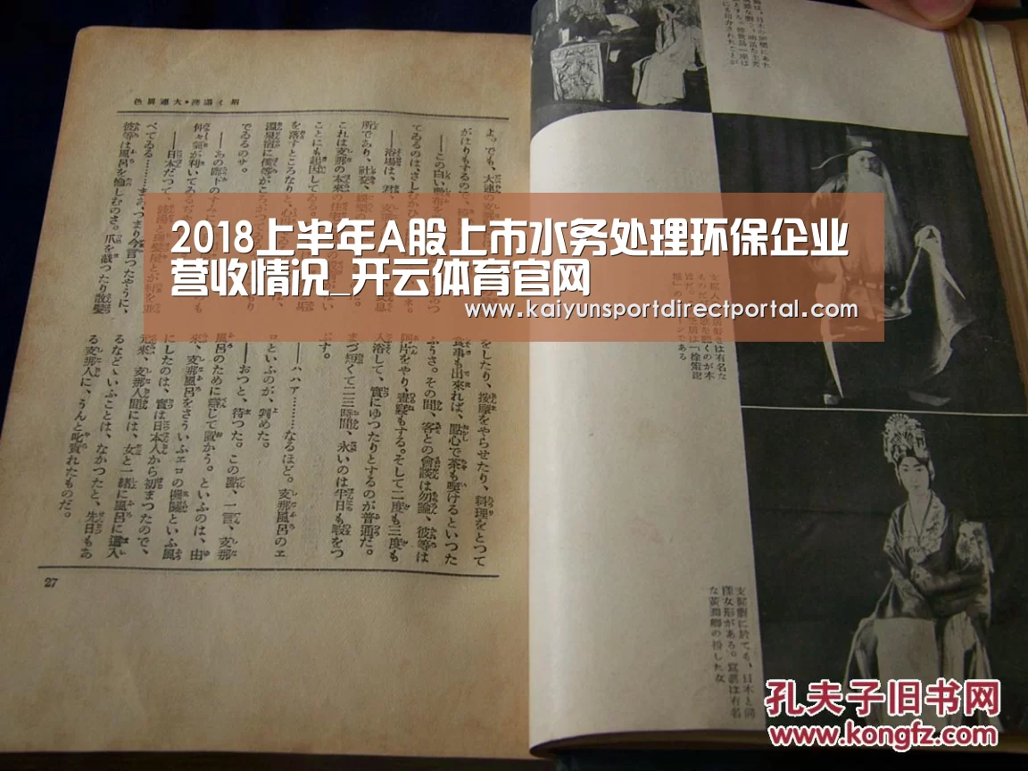 2018上半年A股上市水务处理环保企业营收情况_开云体育官网